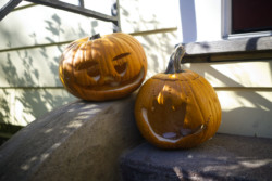 pumpkins